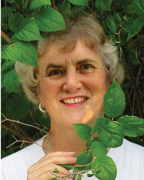Judy Ellis Profile Photo