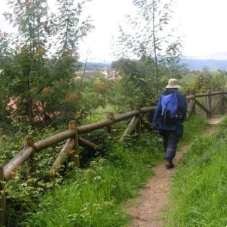 tourhub | UTracks | The Portuguese Camino - Porto to Tui 