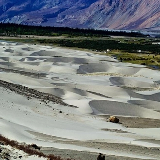 tourhub | Agora Voyages | Sand Dunes And Monasteries: A Journey To Nubra Valley From Leh 