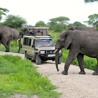 tourhub | Gracepatt Ecotours Kenya | From Nairobi: 2 Days Amboseli National Park Safari Package (CLONE) 