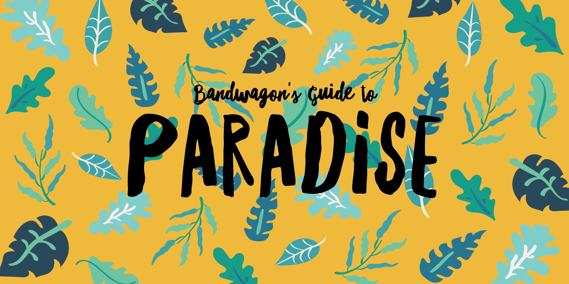 Bandwagon's Guide to Paradise International Music Festival