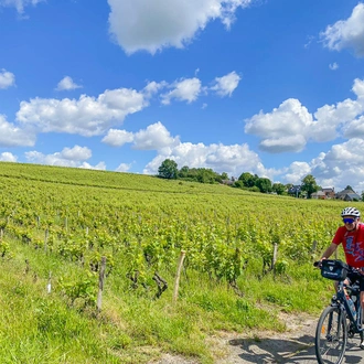 tourhub | Exodus Adventure Travels | Cycle the Loire Valley 