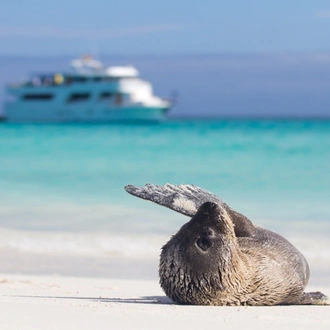 tourhub | Today Voyages | Andes & Galapagos (Multi country) 