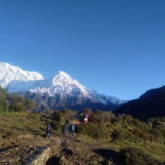 tourhub | Nepal Hiking | Mardi Himal Base Camp Trek 