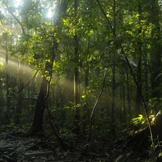 tourhub | Ecuador Galapagos Travels | 4 days Cultural Yasuni Jungle Tour 