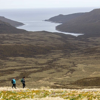 tourhub | Heritage Expeditions | Galapagos of the Southern Ocean 