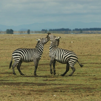 tourhub | Shepherd Holidays | Best Kenya Tour: Sunsets & Safaris, a Kenyan Tale in 5 Days  