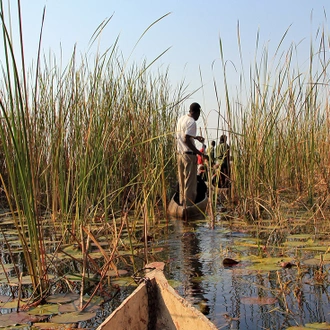 tourhub | Intrepid Travel | Okavango Experience 