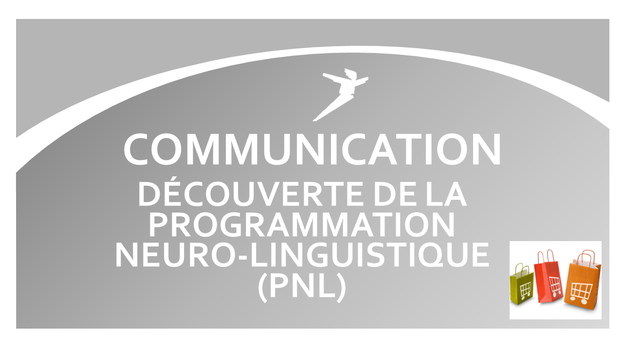 Représentation de la formation : DÉCOUVERTE DE LA PROGRAMMATION NEURO-LINGUISTIQUE (PNL)