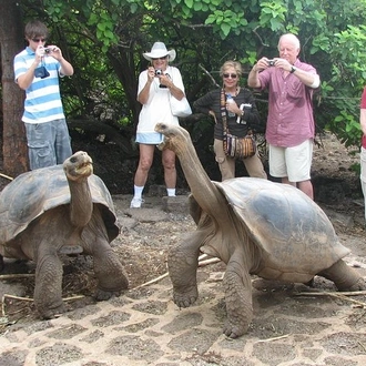 tourhub | BM Tours | 4 Days Galápagos - Isabela Islands and Santa Cruz  