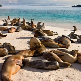 tourhub | Explore! | Galapagos Express - Central & West Islands aboard the Archipel I 