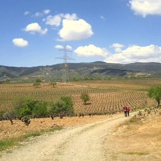 tourhub | Interrailingpackages Ltd | CAMINO DE SANTIAGO - THE WAY TO SANTIAGO (The last 115KM) 