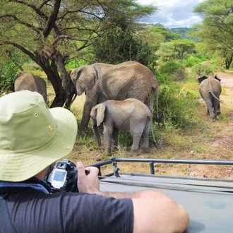 tourhub | Akondo Adventures | The Perfect Tanzania Luxury Safari 