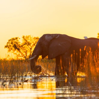 tourhub | Exodus Adventure Travels | Botswana & Namibia: Delta & Dunes 