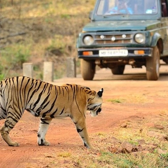 tourhub | Agora Voyages | Nagpur to Vizag Tribal Villages & Tiger Safari 