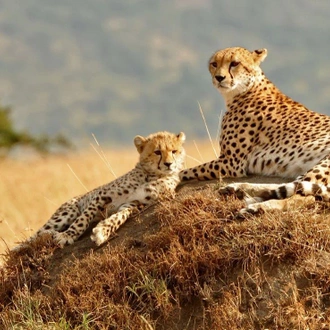 tourhub | ARP Travel Group | Through the Rift Valley, Sopa Lodges - Private Tour 