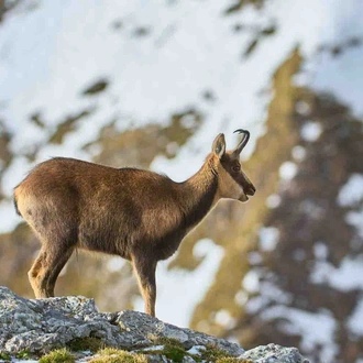 tourhub | YellowWood Adventures | Hiking the High Trails of the Picos de Europa 