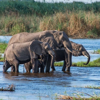 tourhub | Explore! | Botswana's Premium Safari 