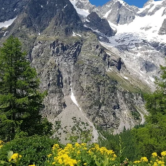 tourhub | Explore! | Tour du Mont Blanc Trek 