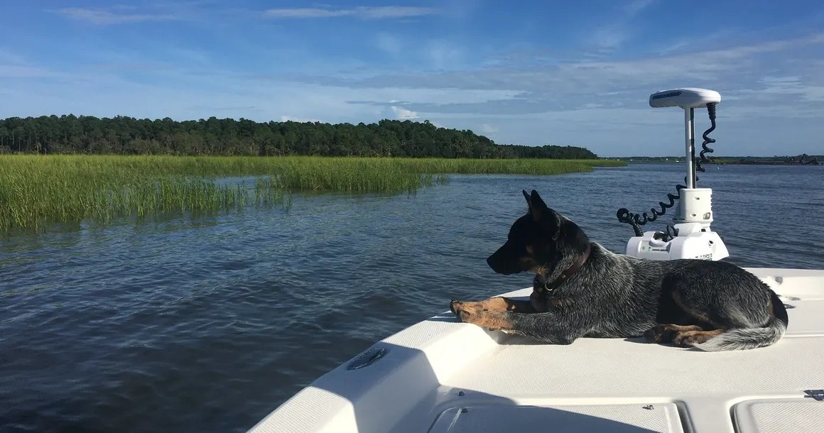 Charleston's Completely Customizable Boat Charters: Hourly or Sunset Cruises image 11