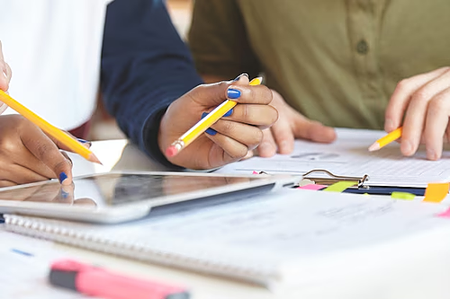 Représentation de la formation : SUIVI DE FORMATION, CONSOLIDATION DES ACQUIS EN SITUATION PROFESSIONNELLE