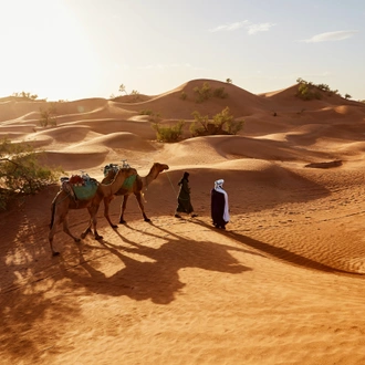 tourhub | Morocco Private Tours | FemmeVoyage: Unveiling Morocco's Wonders in 7 Days 